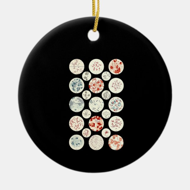 bacteria funny microbiology bacteria science tiny ceramic ornament (Front)