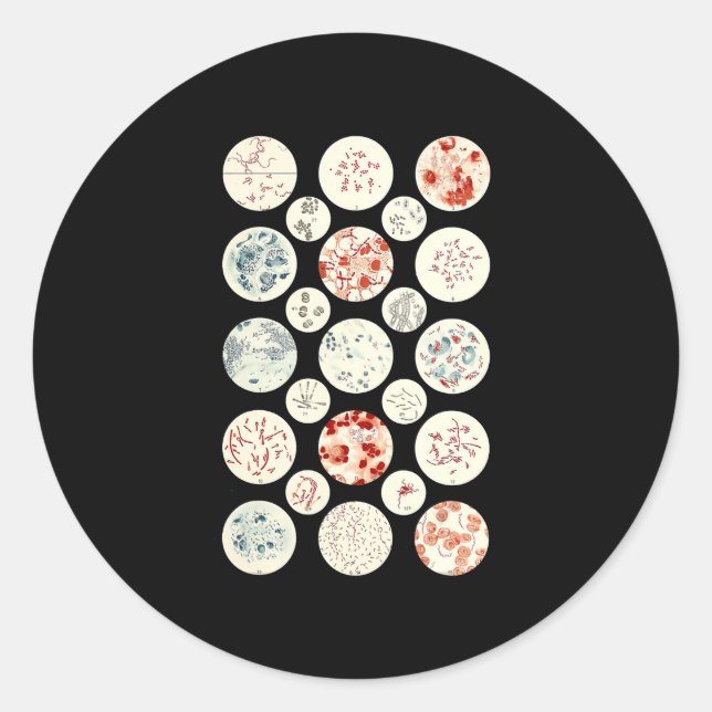 bacteria funny microbiology bacteria science tiny classic round sticker (Front)