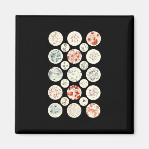 bacteria funny microbiology bacteria science tiny magnet