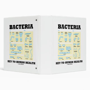 Bacteria Key To Human Health Morphology Binder