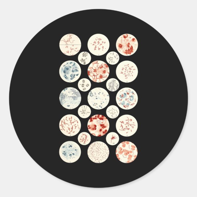 Bacteria Microbiology Bacteria Science Tiny Microb Classic Round Sticker (Front)