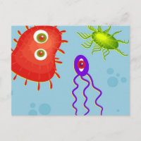 Bacteria