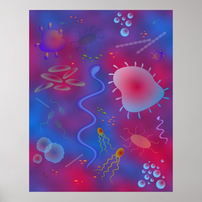 Bacteria Poster (Front)