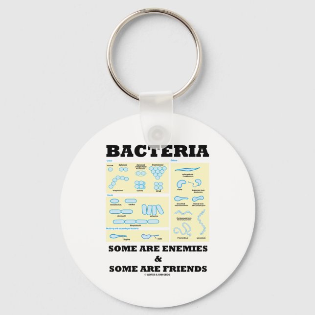 Bacteria Some Are Enemies & Some Are Friends Keychain (Front)