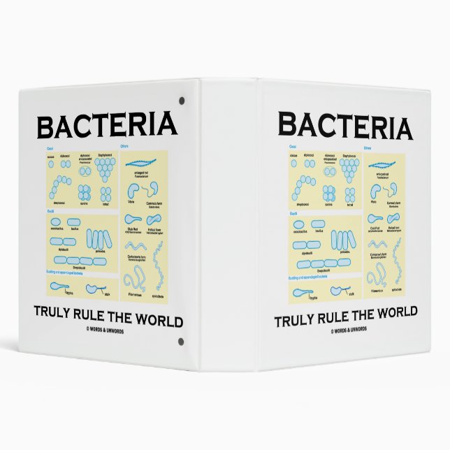 Bacteria Truly Rule The World Morphology Binder (Background)