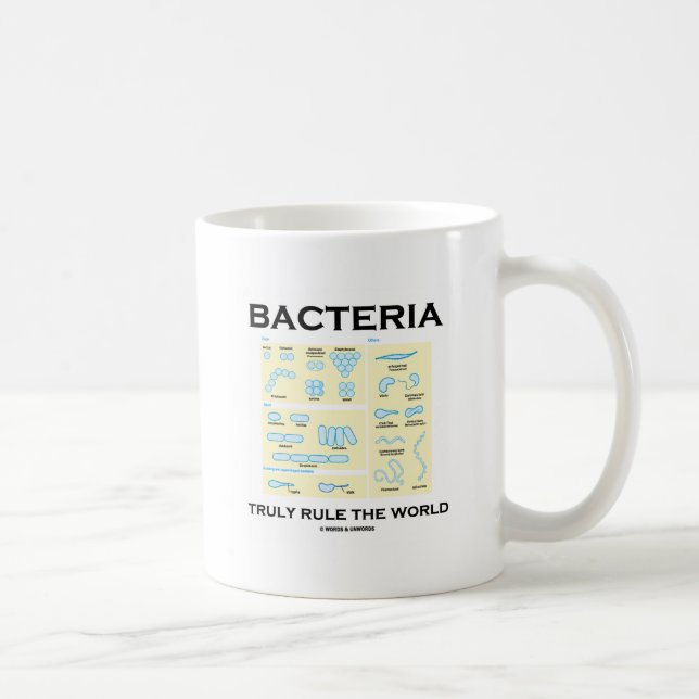 Bacteria Truly Rule The World (Morphology) Coffee Mug (Right)