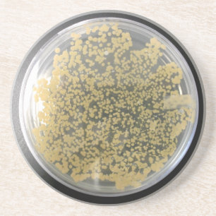 Bacterial Culture Plate, Bacteria Colonies Coaster