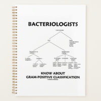 Bacteriologists Know Gram-Positive Classification