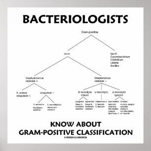 Bacteriologists Know Gram-Positive Classification Poster
