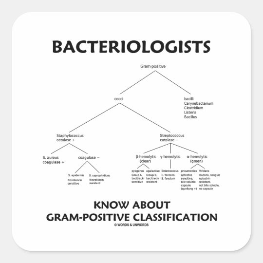 Bacteriologists Know Gram-Positive Classification Square Sticker