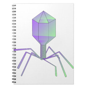 Bacteriophage Notebook