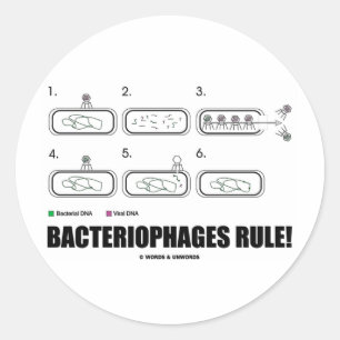 Bacteriophages Rule! (Bacteria Virus DNA) Classic Round Sticker