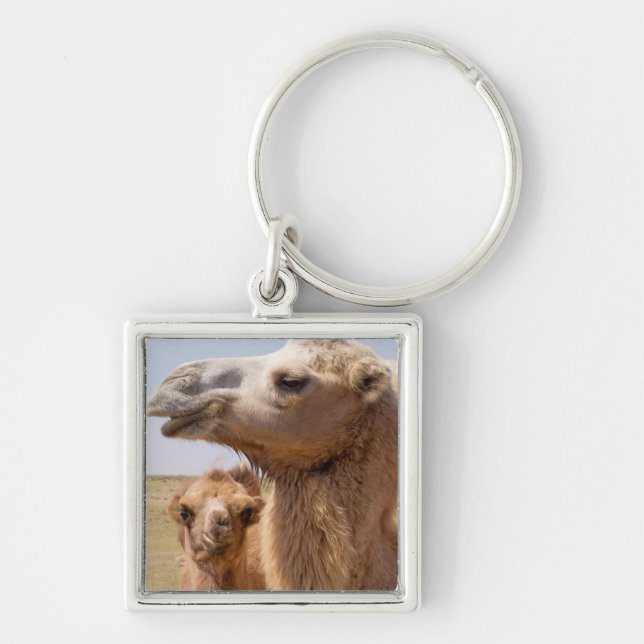 Bactrian Camel Portrait Keychain (Front)