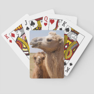Bactrian Camel Portrait Playing Cards