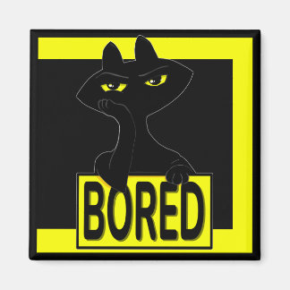 Bad Boogie Black Cat Magnet Funny Sarcastic