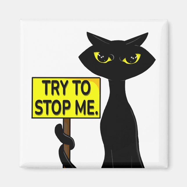 Bad Boogie Fanny Magnet - Try To Stop Me sign (Front)