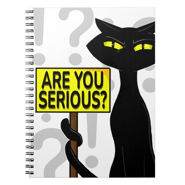 Bad Boogie Funny Notebook - Are You Serius? (Front)