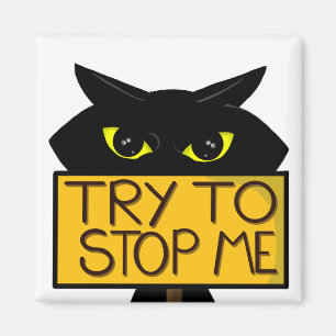 Bad Boogie -The Cat- "Try To" funny Magnets