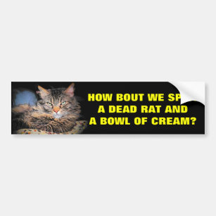 Bad Cat Pick Up Lines Dead Rat and Cream Bumper Sticker