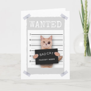 BAD CAT Police Mushot - Carte RECHERCHÉE