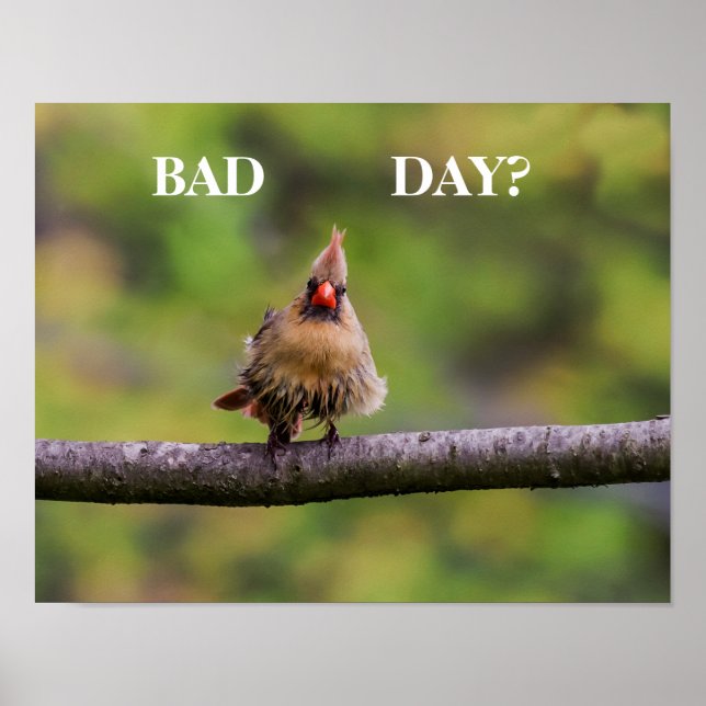 Bad Day? Poster (Front)