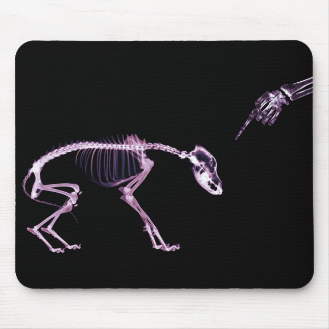 Bad Dog X-ray Skeleton Original Mouse Pad (Front)