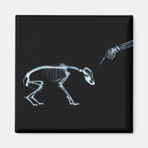 Bad Dog Xray Skeleton Black Blue Magnet