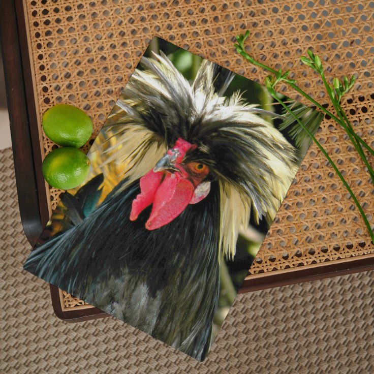 Bad Hair Chicken Photo Funny Birthday Card | Zazzle