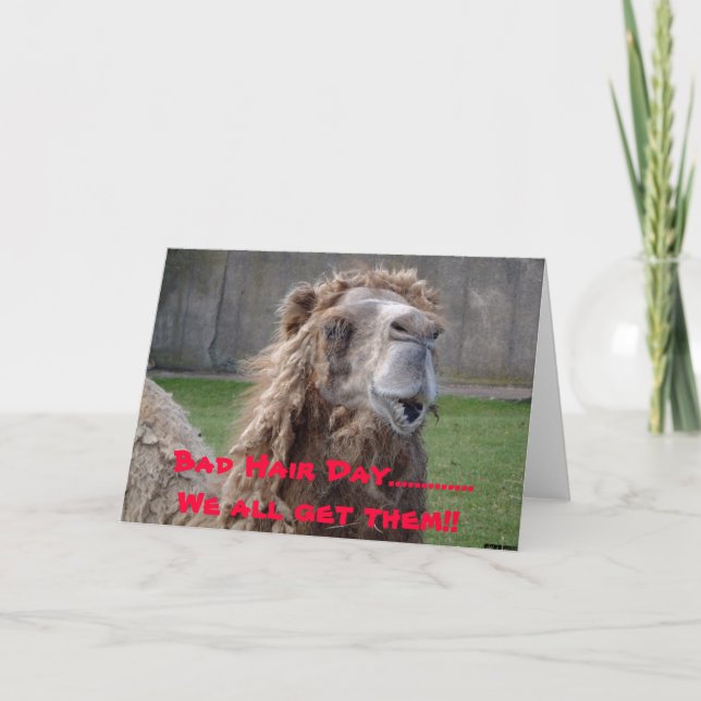 Bad Hair Day, Bad Hair Day.............We all g... Card (Front)