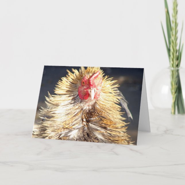 Bad Hair Day Card (Front)
