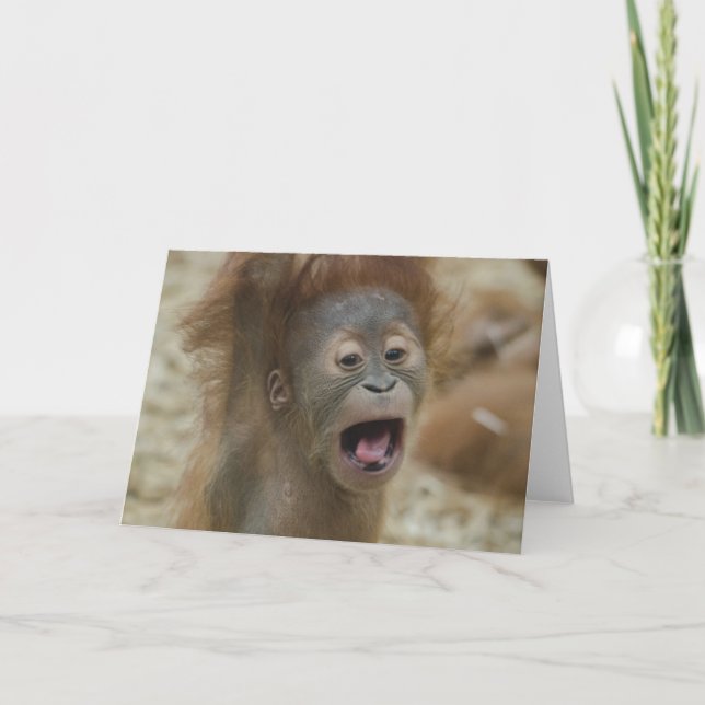 Bad Hair Day Card (Front)