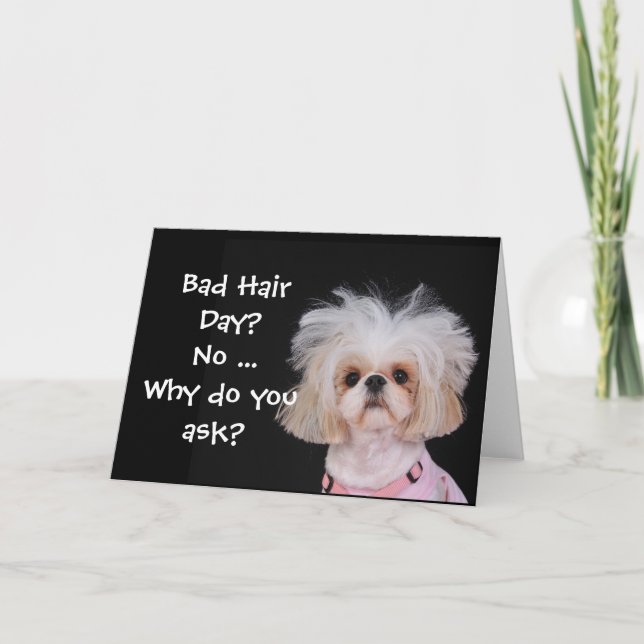 Bad Hair Day? Card (Front)