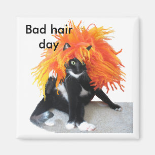 Bad hair day magnet