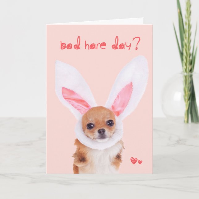 Bad Hare Day Chihuahua Easter card (Front)