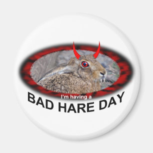 Bad Hare Day Magnet