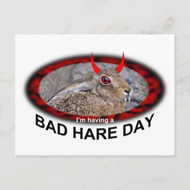 Bad Hare Day Postcard (Front)