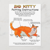 Bad Kitty Petting instructions