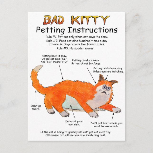 Bad Kitty Petting instructions Postcard (Front)