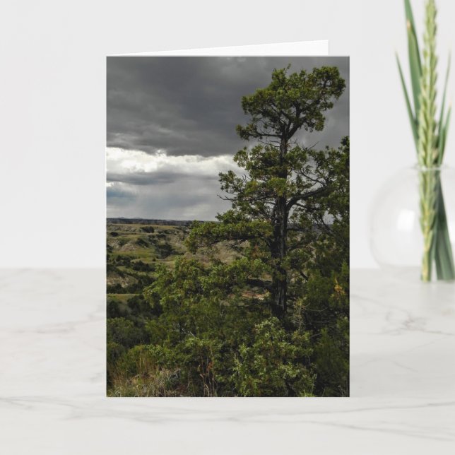 Bad-lands et carte de note orageux d'arbre de (Devant)