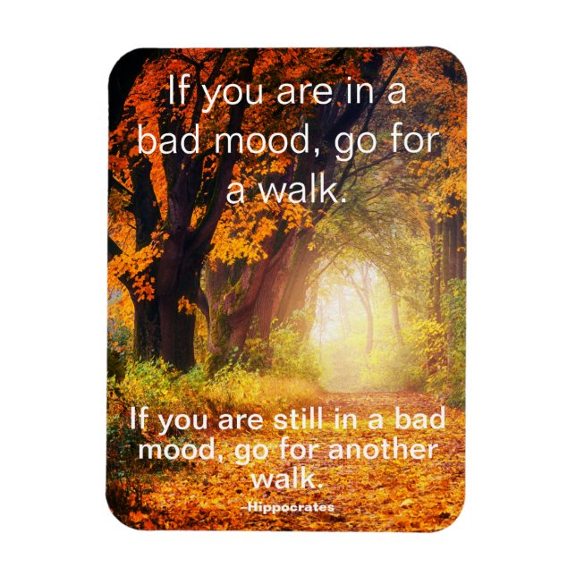 Bad Mood - Go for a Walk, Motivational Quote Magnet (Vertical)