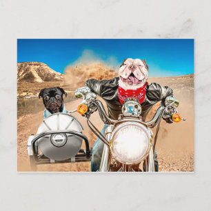 Bad to the Bone Postcard