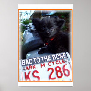 bad to the bone poster