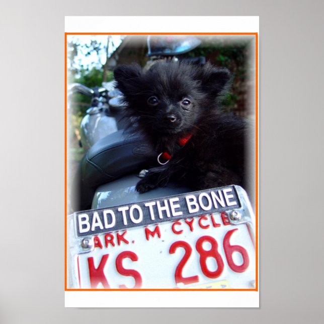 bad to the bone poster (Front)