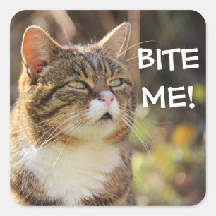 Badass Cats - "BITE ME!" Square Sticker