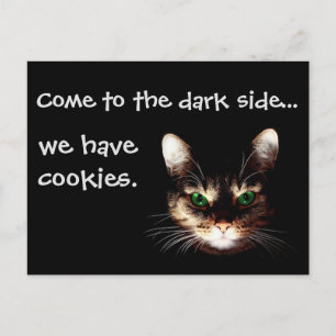 Badass Cats - "Dark Side has Cookies" Postcard