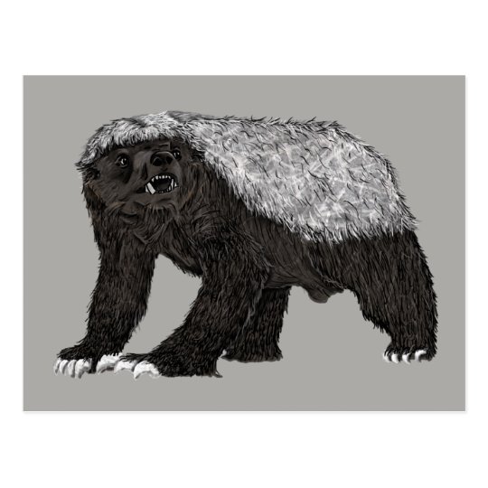 Badass Honey Badger Fearless Attitude Animal Art Postcard Zazzle.ca
