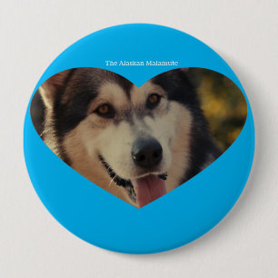 Badge 4 Inch Round Button