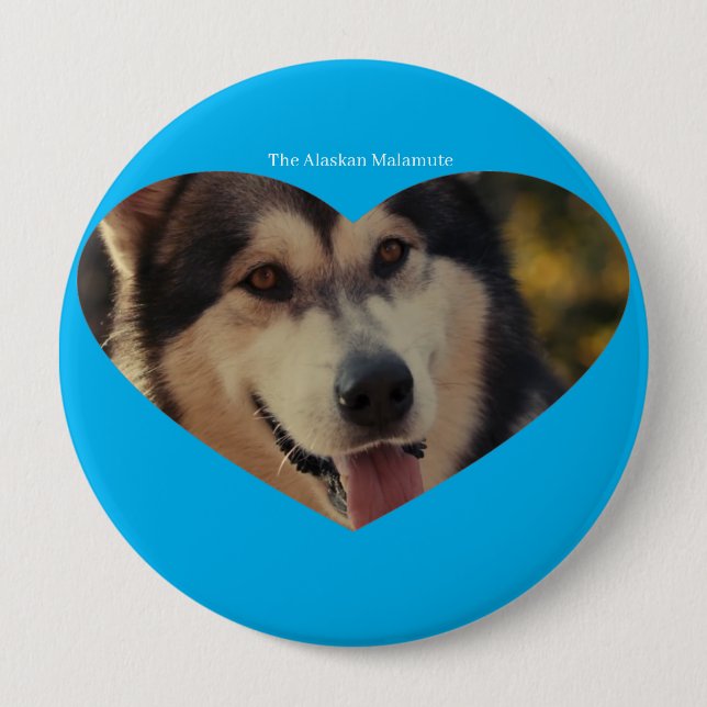 Badge 4 Inch Round Button (Front)