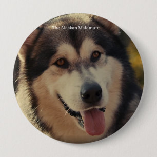 Badge 4 Inch Round Button