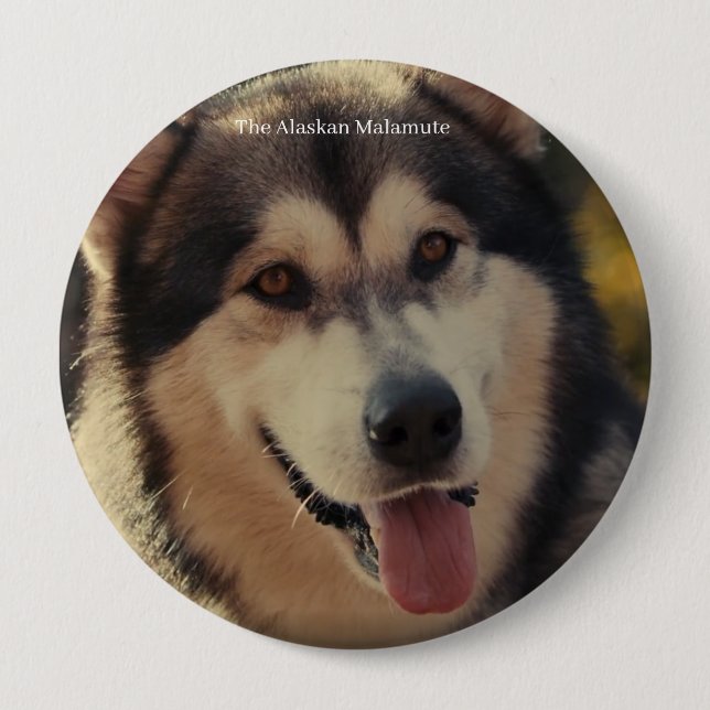 Badge 4 Inch Round Button (Front)